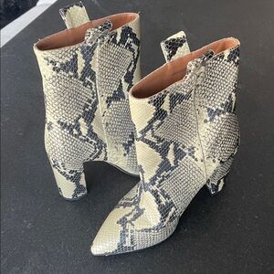 Paris Texas | Snake Print Heeled Boots
